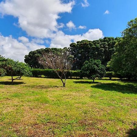 Pio XII - Alojamento Local Ponta Delgada Dış mekan fotoğraf